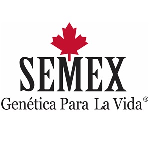 Semex